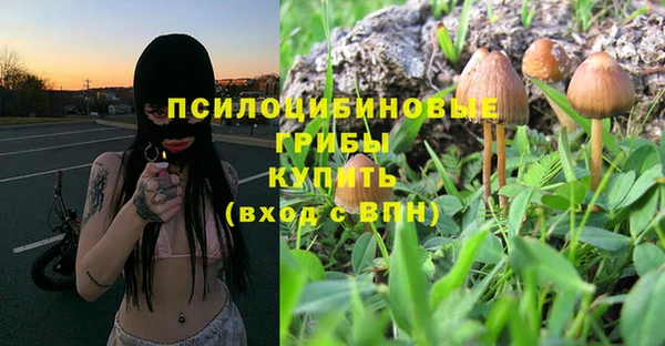 стафф Алексеевка