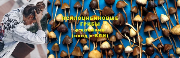 метадон Алзамай
