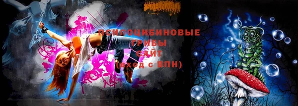 ПСИЛОЦИБИНОВЫЕ ГРИБЫ Пролетарск