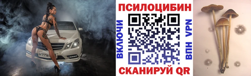 MEGA ССЫЛКА  Кимры  Псилоцибиновые грибы Cubensis 