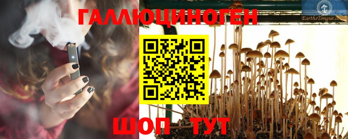 Кимры  Галлюциногенные грибы Psilocybine cubensis  Вход с VPN 