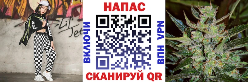 Конопля OG Kush Кимры